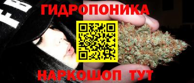 apvp Волжск