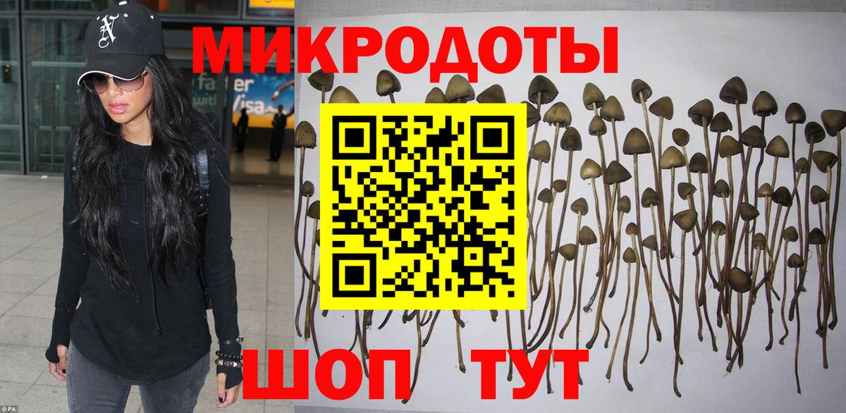 Псилоцибиновые грибы ЛСД Белогорск