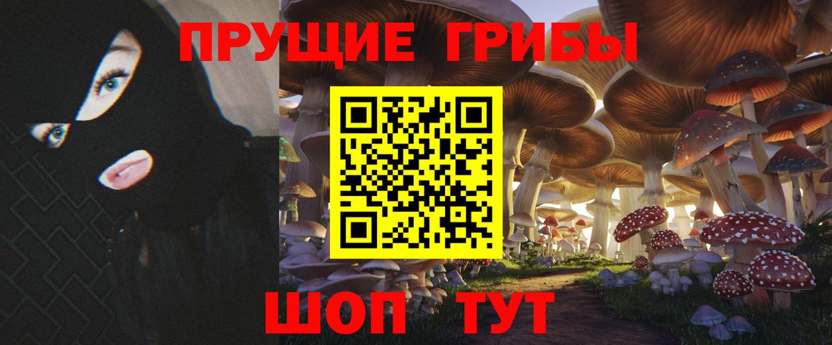 Белогорск  Галлюциногенные грибы Psilocybine cubensis  цены наркотик  Вход с VPN 