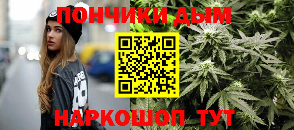 Бошки Шишки сатива Белогорск